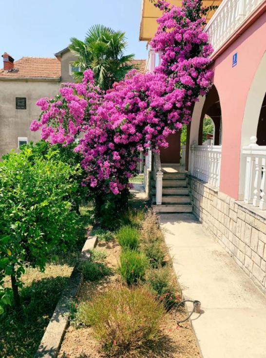 Peaceful, Cosy Tivat Guesthouse 외부 사진